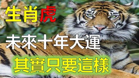 63年次屬虎|屬虎今年幾歲 虎年是民國西元哪幾年